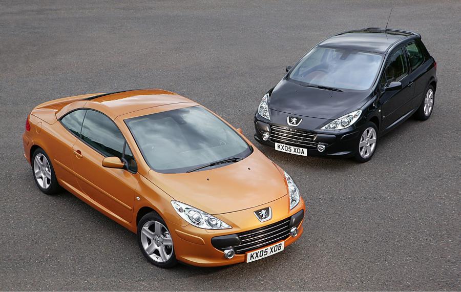  Peugeot 307 2005 года  (фото 23 из 25)